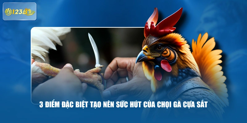 3 điểm đặc biệt tạo nên sức hút của chọi gà cựa sắt
