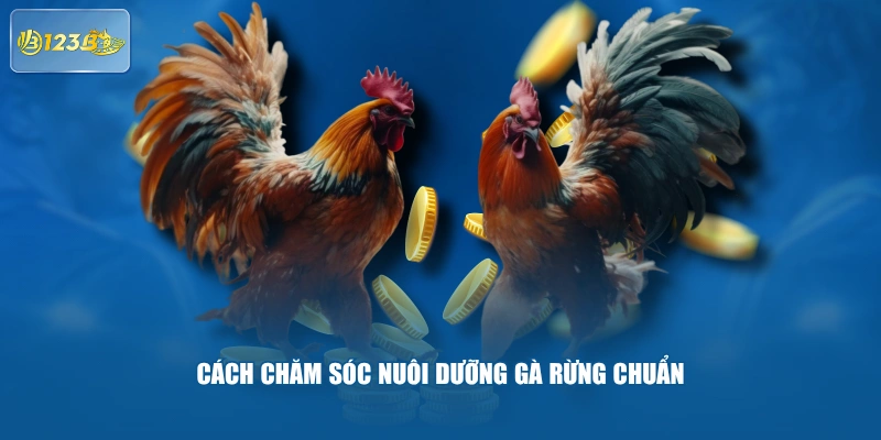 Cách chăm sóc nuôi dưỡng gà rừng chuẩn