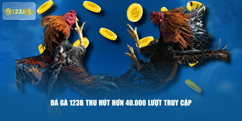 Đá Gà 123B thu hút hơn 40.000 lượt truy cập